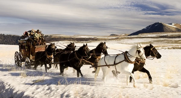 八恶人 高清MKV版 /冰天血地8恶人(港) / 可憎八人 / The Hateful 8 /2015 The Hateful Eight 43G插图2-2QO爱趣游 八恶人 高清MKV版 /冰天血地8恶人(港) / 可憎八人 / The Hateful 8 /2015 The Hateful Eight 43G插图2-2QO爱趣游
