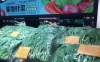【学习资料】生财有道-从我做起百度云阿里云下载