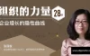 【学习资料】组织的力量28讲百度云阿里云下载