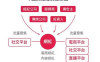 【学习资料】网红达人培养路径图百度云迅雷下载