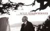 野草莓 蓝光原盘下载+高清MKV版/Wild Strawberries 1957 Smultronstället 16.1G