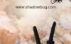 Switch游戏 -暗影之虫 Shadow Bug-百度网盘下载