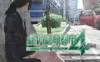 Switch游戏 -绝体绝命都市4Plus：夏日回忆 Zettai Zetsumei Toshi 4 Plus: Summer Memories-百度网盘下载