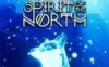 Switch游戏 -北方之魂 Spirit of the North-百度网盘下载