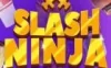 Switch游戏 -劈砍忍者 Slash Ninja-百度网盘下载
