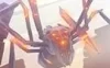 Switch游戏 -电音狂魔 Aaero-百度网盘下载