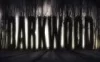 Switch游戏 -阴暗森林 DARKWOOD-百度网盘下载