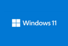 操作系统-不忘初心游戏版 Win11 v23H2(22631.3007)-网盘下载