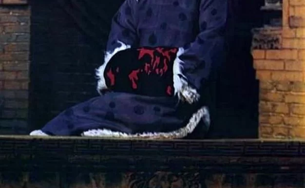 大红灯笼高高挂 蓝光原盘下载+高清MKV版 1991 Raise The Red Lantern 24.7G