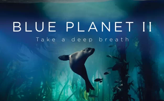 蓝色星球2 4K蓝光高清版下载/ 蓝色星球 第二季 2017 Blue Planet II 151G