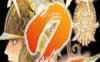 Switch游戏 -浪漫沙加2 Romancing SaGa 2-百度网盘下载