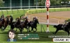 Switch游戏–NS 德比赛马 xci 含 原版v1.1.0补丁,百度云下载