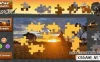 Switch游戏–NS 野生动物拼图 Animated Jigsaws: Wild Animals 中文[NSP],百度云下载