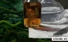 Switch游戏–NS 大师之眼（The Master's Pupil）中文[NSP],百度云下载