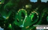 Switch游戏–NS Yoku小岛之旅 中文版 Yoku's Island Express,百度云下载