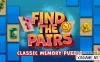 Switch游戏–NS 找配对：经典记忆谜题 Find the Pairs: Classic Memory Puzzle[NSP],百度云下载