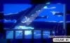 Switch游戏–NS 虚幻生活 UNREAL LIFE 中文？,百度云下载