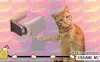 Switch游戏–NS Ultra Mega Xtra Party Challenge 正式完整版[NSP],百度云下载