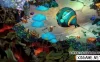 Switch游戏–NS 堡垒 Bastion [XCI/NSP],百度云下载