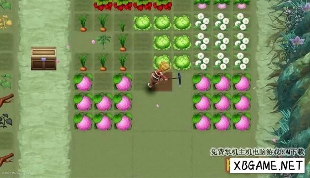 Switch游戏–NS 符文工房3 豪华版 Rune Factory 3 Special [XCI],百度云下载