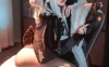 COSPLAY nikke:胜利女神 Nikke白兔🐰布兰儿💖@半半子_