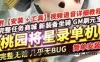 端游桃园将星录单机版 回合制游戏一键端 修复剧情任务带GM工具