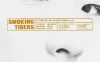 老虎抽烟时 WEB-DL版下载/스모킹 타이거스 2023 Smoking Tigers 9.75G